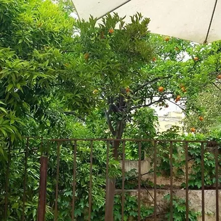 Holiday home La Siciliana Acireale
